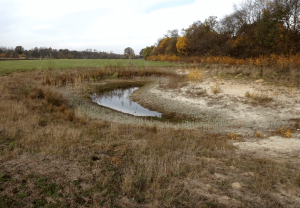 Bureau Schenkeveld project vorssel plattedel poel